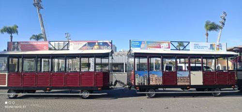 rotulacion tren torrent